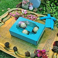 6-Cavity Window Box (Mast Blue) 6-Cavity Window Box (Mast Blue)